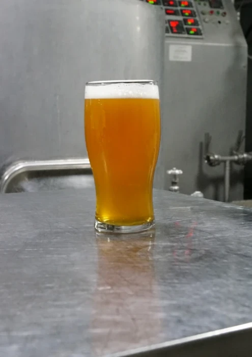 Us pilsner